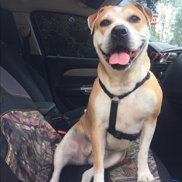 Meet your Posher, Jeri + Will - Picture 7 of 10